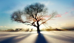 欧洲预选赛悬念升温：各路强队竞逐晋级名额